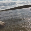Bild av @otis_tha_dog - Var på stranden med @frida.maja.dondy  och träffade @jens.03  #roligdagpåstranden☺️