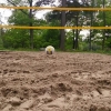 Ny sand, nytt nät, nya bollar. Välkommen att leka i Fjällnora!