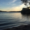 Bild från Smedsuddsbadet av @lhasserius - Kvällsdopp #sommarkväll #solnedgång #bad #brittsommar