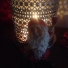 Till Er alla från oss alla önskas en riktigt God Jul!!!