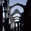 Sankta Katarina (Sankta Karin) kyrkoruin i Visby. Foto: Åke Johansson.  