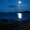 Night by Lexö.