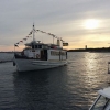 Södern på väg att lägga till i uddens hamn. Ett härligt gäng på 50 personer har ikväll avnjutit god mat och dryck och är snart redo för hemfärd!
