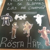 Dags att rösta!