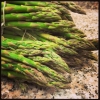 These babies will end up on our newest pizza tonight. Aubergine Cream / Fresh Asparagus / Hazelnuts / Primadonna Cheese. All served on our six year old wheat sourdough pizza bread.