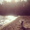 Bild av @annananananananaa - Att bo vid stranden är underbart 