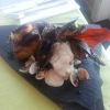 Tjusigt idag!  Ugnsbakad marulk, sås på blåmusslor o hjärtmusslor, örtig potatiskaka me rödbetor o gulbeta, grillad sparris!