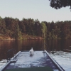 Bild från Badbryggan I Ekensberg av @j_linda_t - Kollade till badbryggan på vägen hem.
#jrt #jackrussell #Ekensberg #Gröndal #Stockholm #svensksommar #this_is_sweden