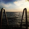 Bild från Råå Kallbadhus av @sannasimoncello - @instagram weekend hashtag project #WHPmyoasis 
My everyday sanctuary, totally addictive morningswim. 
#happyplace #råå #skåne #sverige #öresund #havet #voglidimare #svezia #mare #musthaveamorningswim #sweden