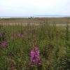 Bild av @lottasmarianne - #Mäsingestrand