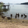 Bild från Getryggen Telefonbacken av @mariaehr - Fikasällis på stranden. Har ni bullar eller? #Getryggen2015