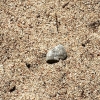 Bild från Getryggsbadet av @weting - #sand #strand #strandliv