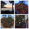 Bild från Getryggen Telefonbacken av @mariaehr - Svensk sommarkväll i augusti med traditionsrik meny på bordet. Skål och en god helg! #kräftor #kantarellpaj #ettbordmedutsikt #trevligtsällskap