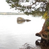 Andersön