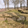 eget foto