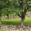 eget foto