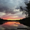 Bild av @msandstrom - #VSCOcam #vsco #vsco_sweden #transfer_visions #tv_pointofview #sunset #mydailycapture #alalamiya_mystics Myggorna regerar i Roslagen, men badsjön är fortfarande vacker!