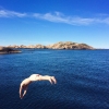 Bild från Stångehuvud av @glassilass - Morgondopp 
