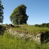Kvissle kapellruin, 3 juli 2005. Foto: Åke Johansson.