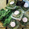 Boost yourself with kale 