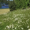 trevlig o solig Sommar önskar vi