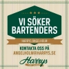 Vi söker just DIG. Du som brinner för att ge gästerna en härlig utekväll. Du som känner att Harrys Nattklubb är stället du vill jobba på.

Du som söker har tidigare erfarenhet av yrket och av nattklubbsbarer. Du vet vad som krävs för att ge gästerna en fa