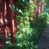 Dagligen öppet till 30/8 kl. 11- 18.  I september fre - sön kl. 11- 17. Hjärtligt välkomna !