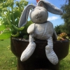 Upphittad och saknad!
Peter Rabbit har hittat hem efter 2 dygn på Backagården.
Saknad av Charles 2 år, har den randiga kaninen Peter Rabbit äntligen kommit hem igen.
Ett fint lyckligt slut !