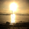 Hälsningar från Grisslehamn och L8 i hamnen.
Solen skiner över oss.