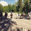 Bild av @elinizi - dag 1 på lägret, bada med ponnysarna! ✔️ @matilda_linnea13 @snoran_03