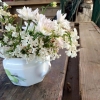 Midsommarafton har vi öppet 10-18 och serverar en midsommartallrik, 2 sorters sill och västerbottenpaj samt det klassiska tillbehören för 99kr 

Övriga dagar har vi öppet 10-19

Varmt välkomna☀️
