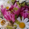 Vi vill önska er alla en riktigt trevlig midsommar! 
Imorgon dansar vi kring midsommarstången, äter sill och gubbe och håller därför kaféet stängt.
Lördag och söndag är Saffran & Kardemumma öppet som vanligt, 10-17 och då är ni såklart hjärtligt välkomna 