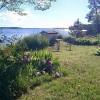 Nyhet! I helgen öppet som vanligt terrasslunch samt à la carte fredag och lördag 12-23. Nyhet!! AW på bryggan fredag 16-19 med utmärkta herbaldrinkar, naturchampagne, hemkokt saft och lokal öl. Smårätteroch plock därtill. Välkomna!!