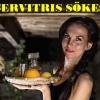 Mimos söker servitris med erfarenhet för heltidsjobb.
Är du intresserad? Kom in och prata med oss eller ring och prata med personalansvarig på 023-201 01.eller 0736188166,

#servitris #servitriser #jobb #anställning #serveringspersonal #heltidsjobb