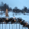 Äntligen så kommer det lite snö! Nu är det vitt och fint på bakgården, :)
