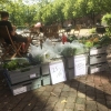 Möllans Ekos Pop Up Organic Market. Endast idag onsdag på Uggla Kaffebar. #organicfood #möllanseko #ugglakaffebar