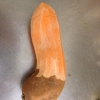 Sötpotatis i all ära men va fan.
Detta är dock början till en fantastisk förrätt med pilgrimmsmusslor bilder kommer.