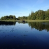 Glada gäster på ingång..