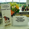 Nu har vi fått en ny laddning hundglass, populära Lickin' Liver finns åter hemma, nu med en praktisk kylväska man kan ta med ut på golfbanan! Hugo & Celine - ice cream for dogs
