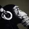 Äntligen Onsdag och ni alla vet vad det innebär... Club Babord!! Skön Deep House, Tech House som spelas på övre deck. Kom njut av en god drink eller två och lyssna på riktigt bra musik från DJ Miran S