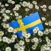 Grattis Sverige på nationaldagen!
Idag har vi öppet 13-17, vi hoppas att alla får en varm och solig kväll.
Vi ses imorgon, när det regnar igen :-P