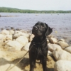 Bild från Orbadens Konferens & Spa av @hunden_svante - Sol o bad