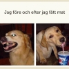 Helt plötsligt är man så himla mysig att ha att göra med, liksom. =)