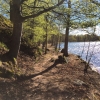 Bild från Pickel Sjön av @vittsjonu - Fint vårväder idag i Vittsjö! Går mot varmare tider nu. Händer mycket i naturen dessa dagar. 