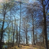 Bild från Pickel Sjön av @vittsjonu - Bokskogen börjar bli grön nu när värmen slår till och våren är i antågande! Fin promenad längst Pickelsjön i Vittsjö. 