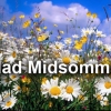 Glad Midsommar kära följare, läsare och kuner! 
19/06 midsommarafton: stängt
20/06 midsommardagen: öppet kl 12:00 till 22:00