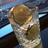This is how you drink Hendrick's gin. #withaview #iceicebaby