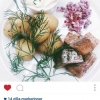 Veckans special är en härlig tallrik med matjessill & färskpotatis 