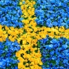 Sveriges nationaldag imorgon 6:e juni håller vi öppet för dig som vanligt kl.9.00-16.00. Välkommen!