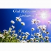Trevlig midsommar önskar vi alla våra kunder. Idag har vi öppet kl.09.00-14.00. Imorgon midsommardag gäller följande öppettider: kl.11.00-18.00.

Välkomna!